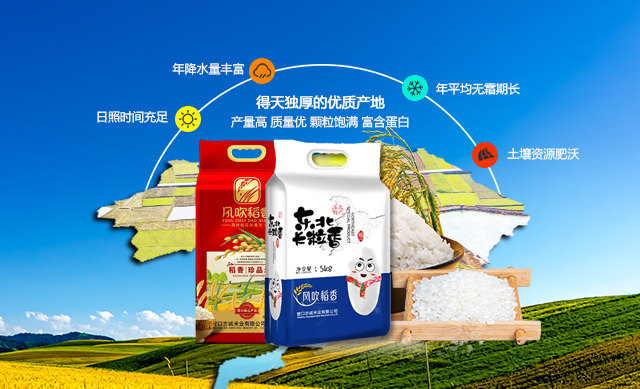 中国·威尼斯8040(股份)有限公司-官方网站